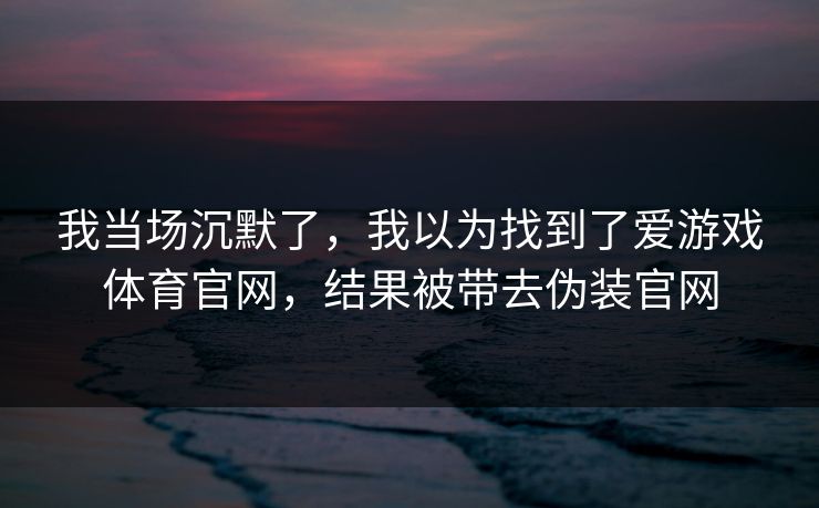 我当场沉默了，我以为找到了爱游戏体育官网，结果被带去伪装官网