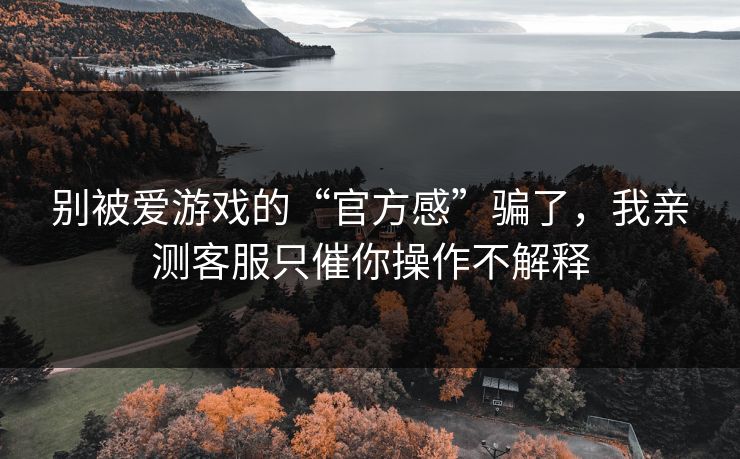 别被爱游戏的“官方感”骗了，我亲测客服只催你操作不解释